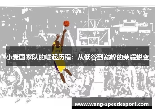 小麦国家队的崛起历程：从低谷到巅峰的荣耀蜕变