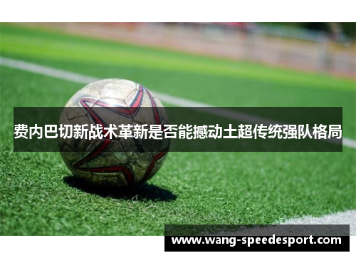 费内巴切新战术革新是否能撼动土超传统强队格局