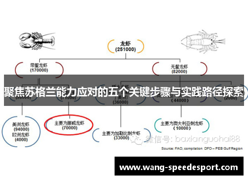 聚焦苏格兰能力应对的五个关键步骤与实践路径探索